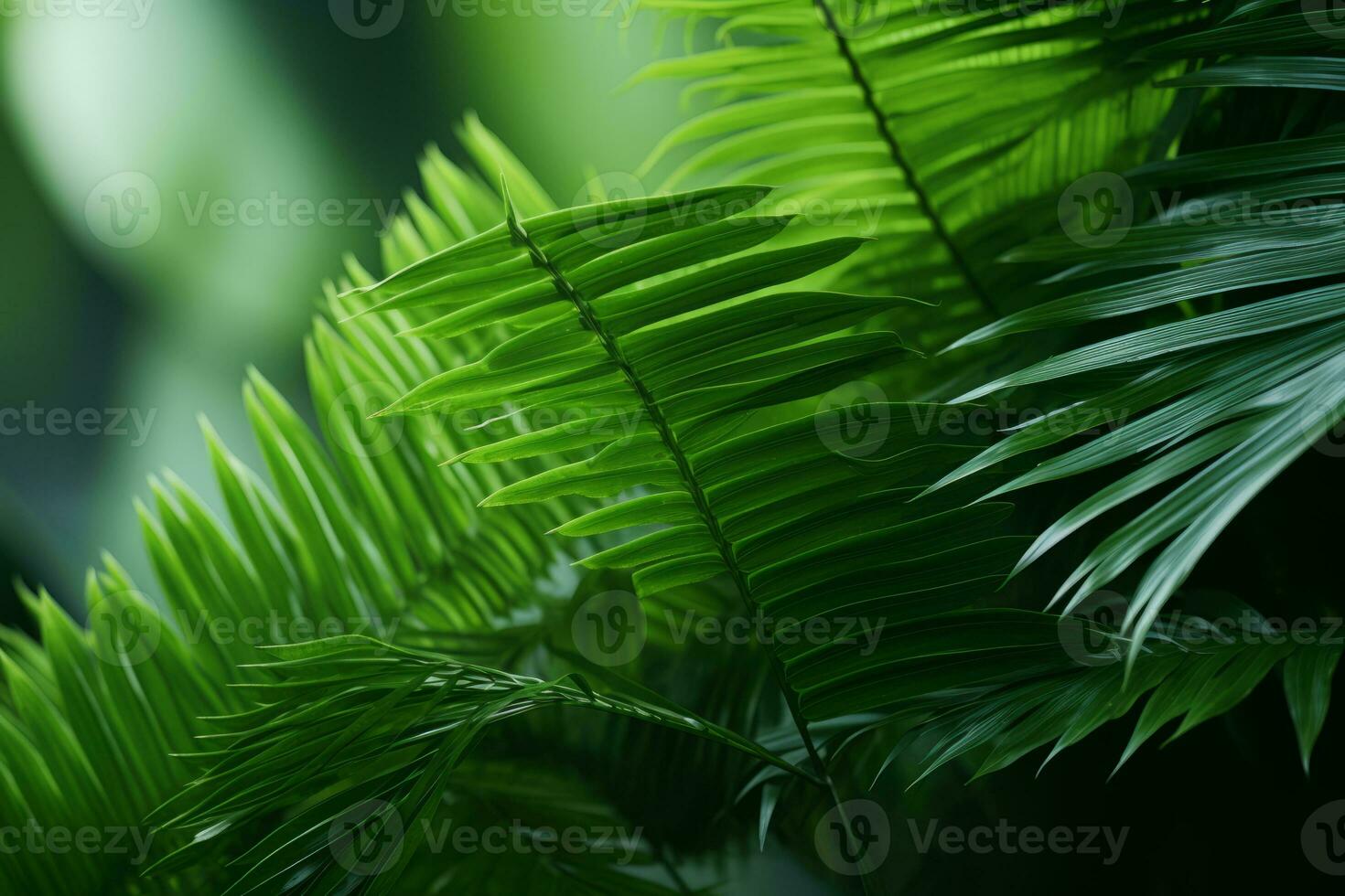 a close up of green palm leaves on a dark background generative ai photo