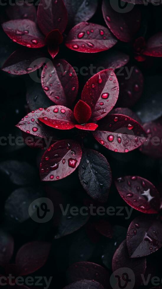 a close up of red leaves with water droplets generative ai photo
