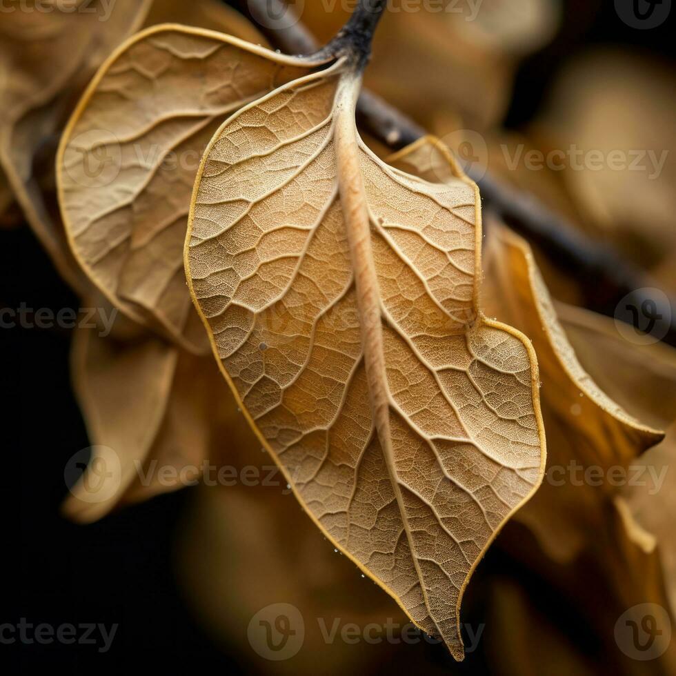 a close up of some brown leaves on a tree generative ai photo