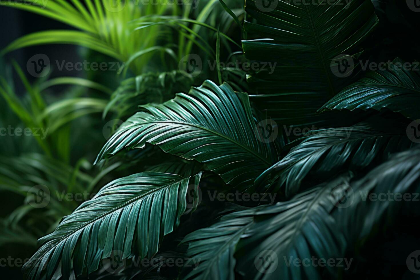 a close up of some green plants in a dark room generative ai photo