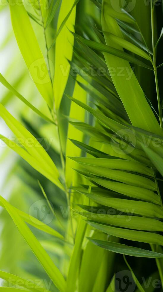 a close up of some green leaves on a plant generative ai photo