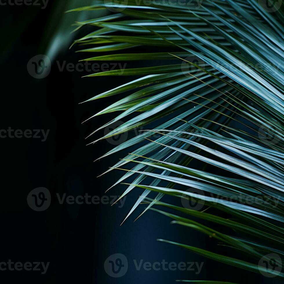 a close up photo of a palm leaf generative ai