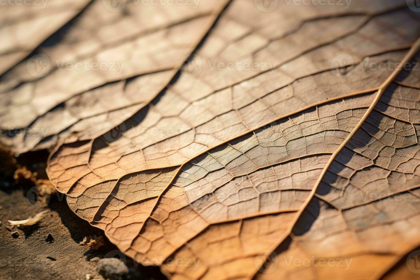 a close up view of a dried leaf on the ground generative ai photo