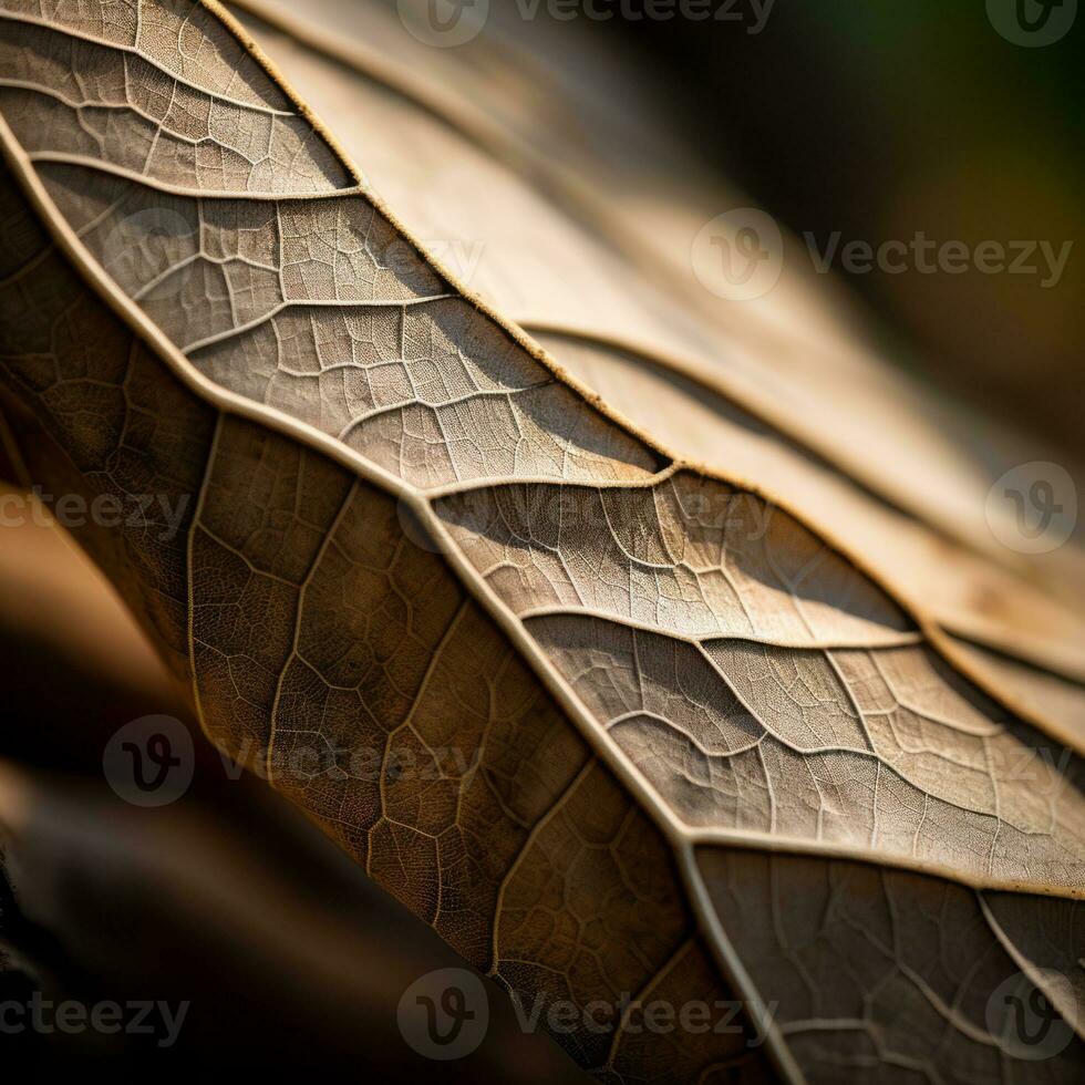 a close up view of a leaf generative ai photo