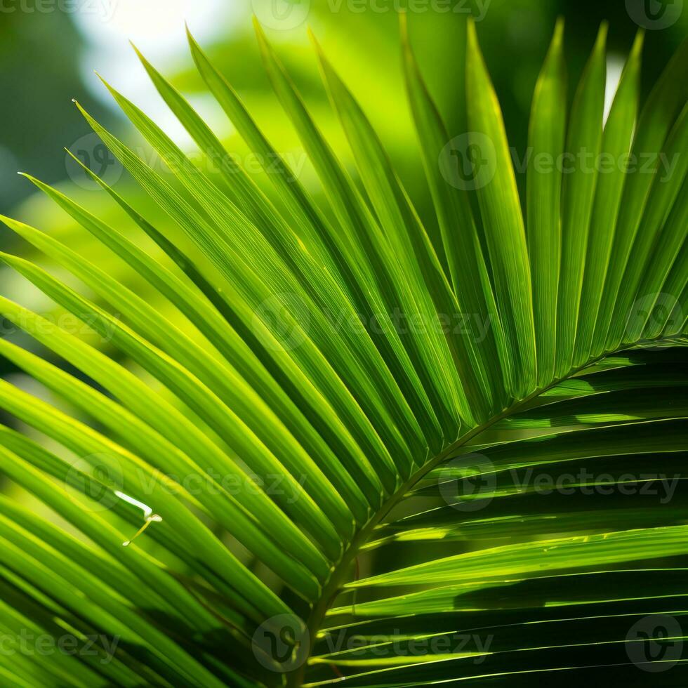 a close up view of a palm leaf generative ai photo
