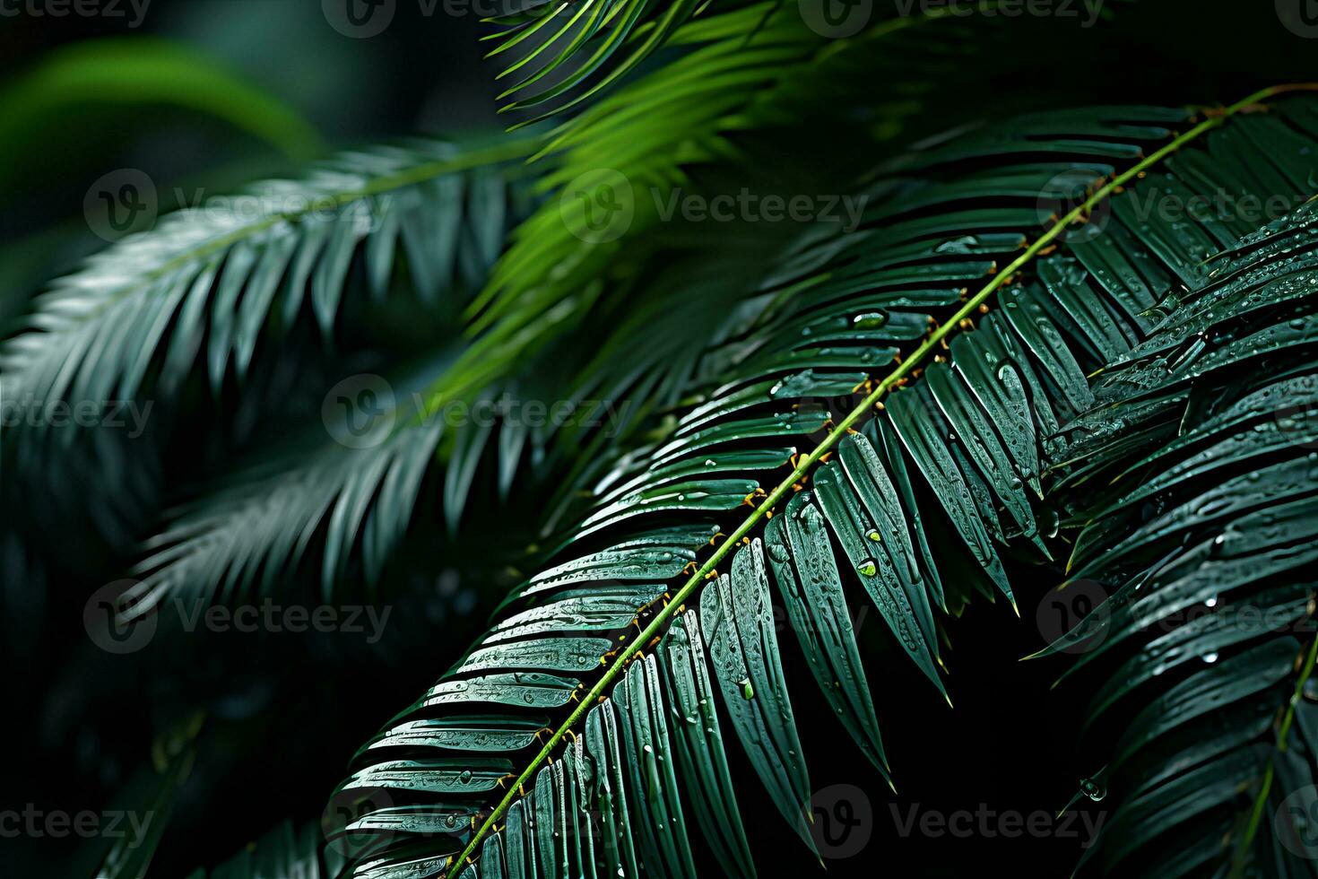 a close up view of a palm tree with water droplets on it generative ai photo
