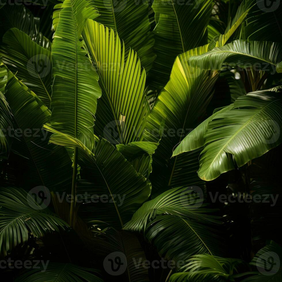 a close up view of some green leaves in the jungle generative ai photo
