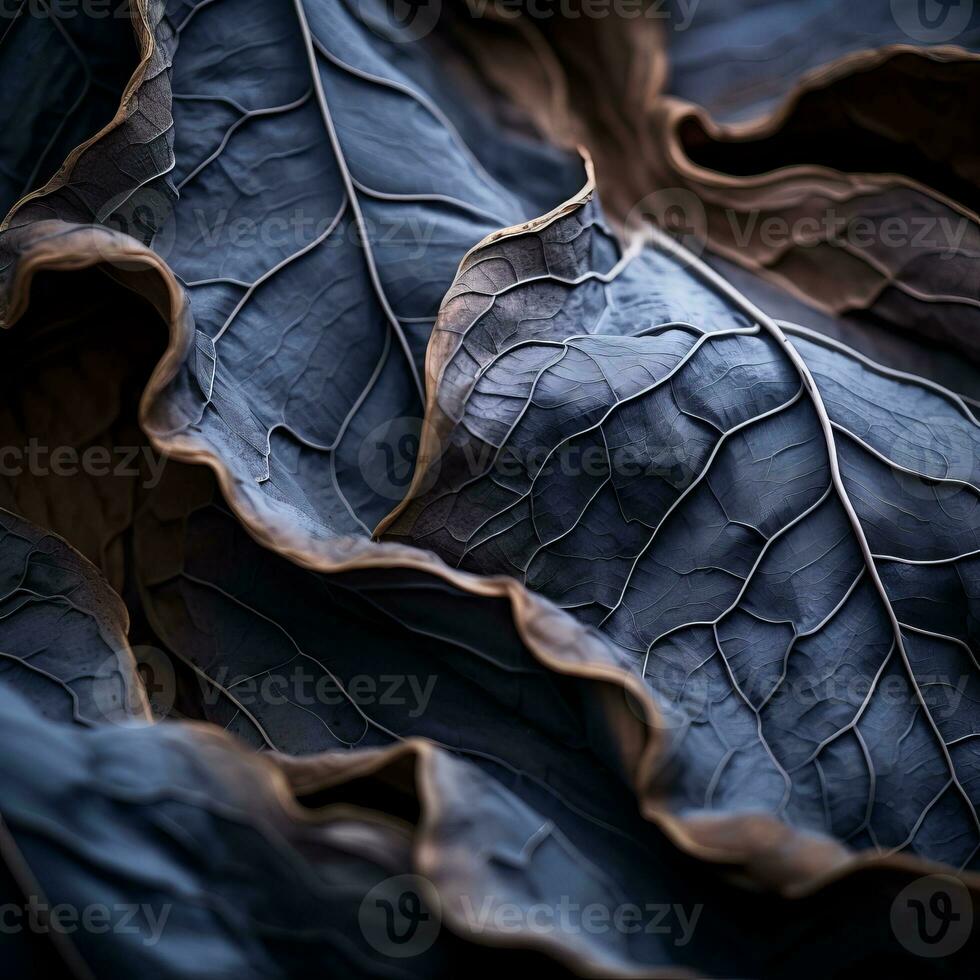 a close up view of some leaves on a dark background generative ai photo