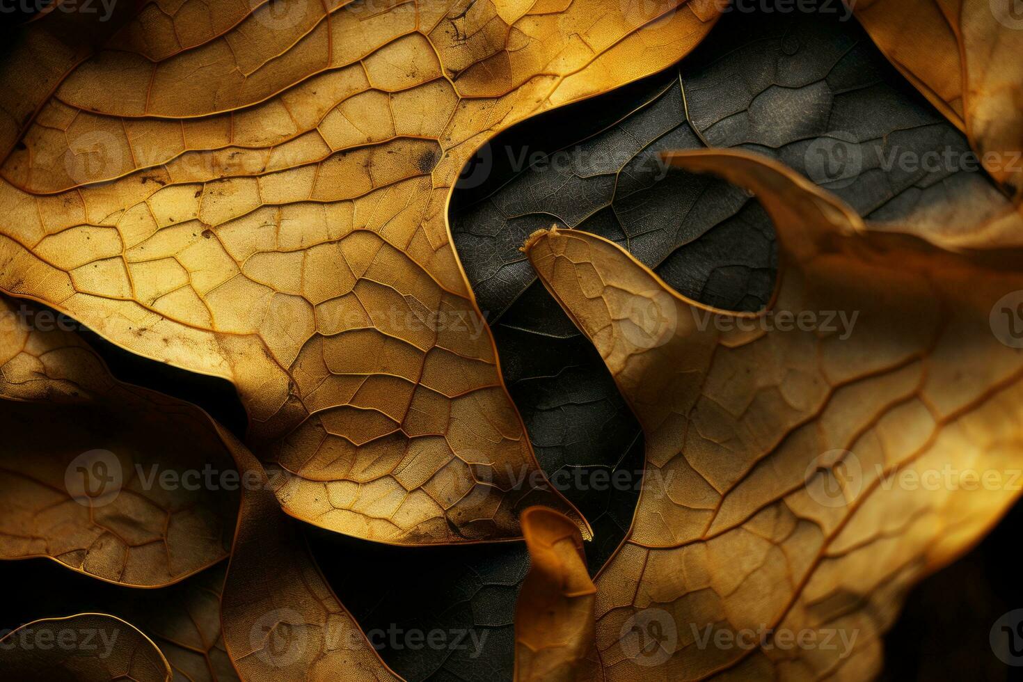a close up view of some leaves on a black background generative ai photo