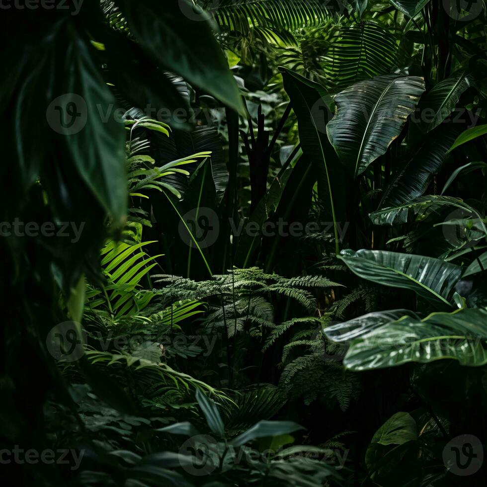 a dark lush jungle with lots of green plants generative ai photo
