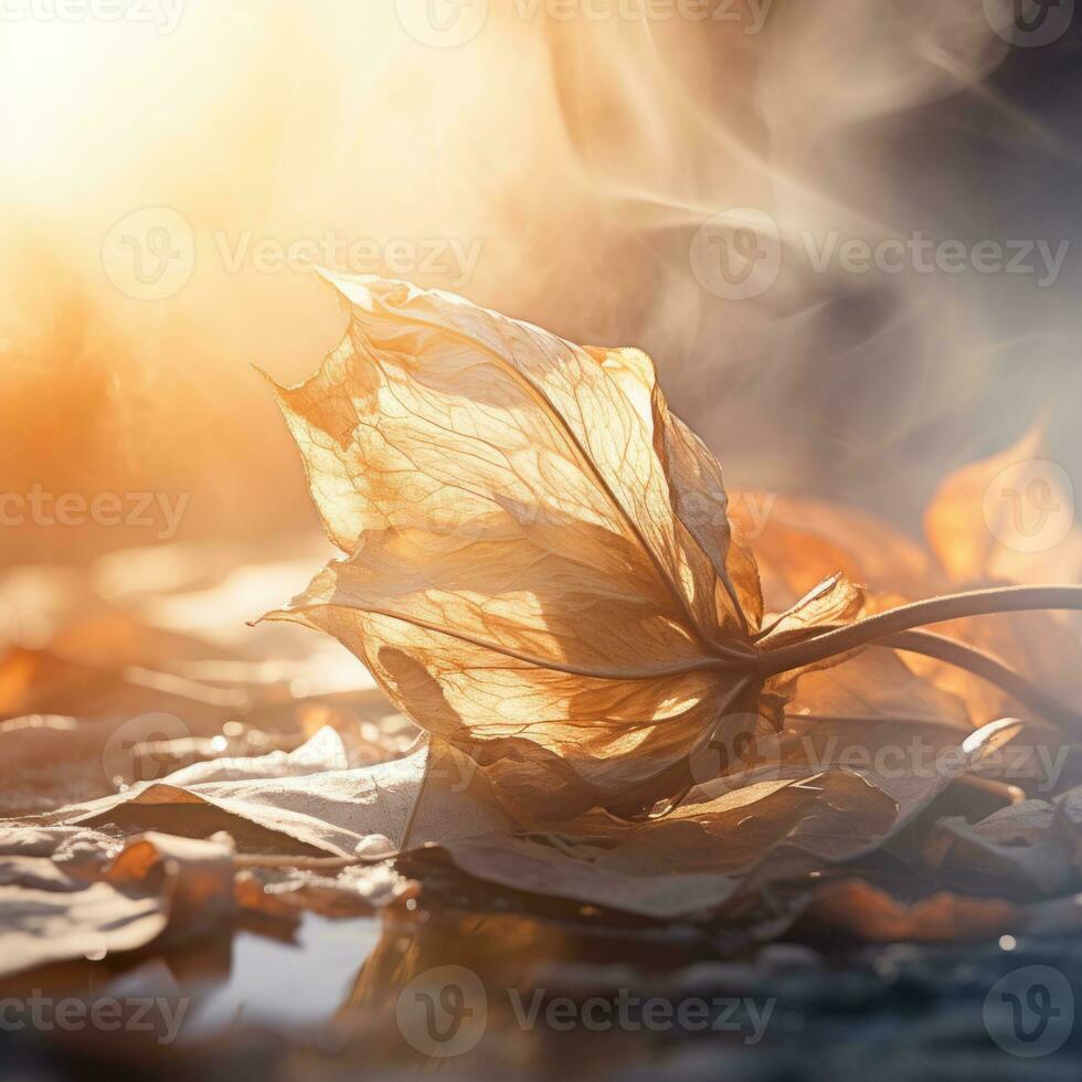 a dead leaf laying on the ground with smoke coming out of it generative ai photo