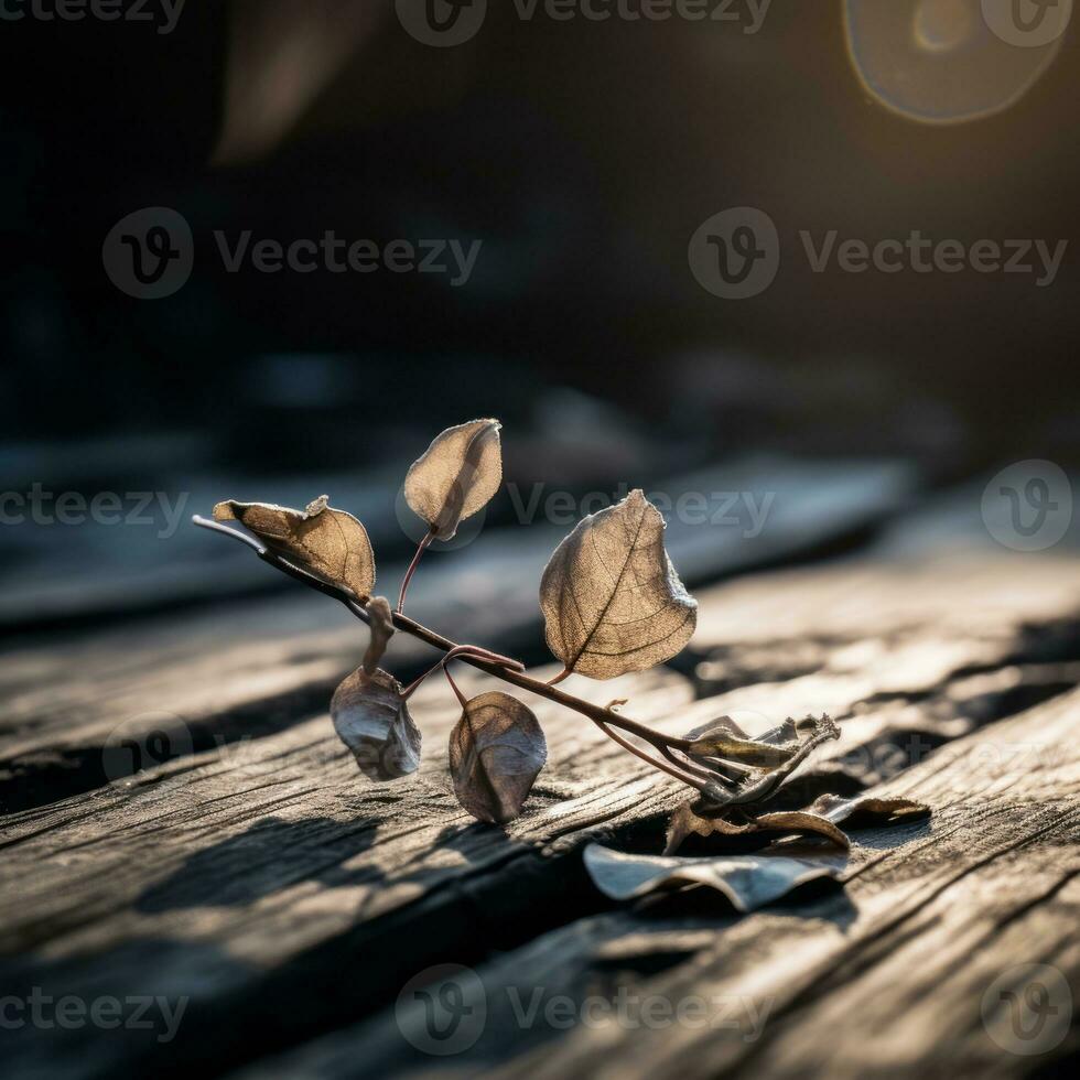 a dead leaf on a wooden table with the sun shining in the background generative ai photo