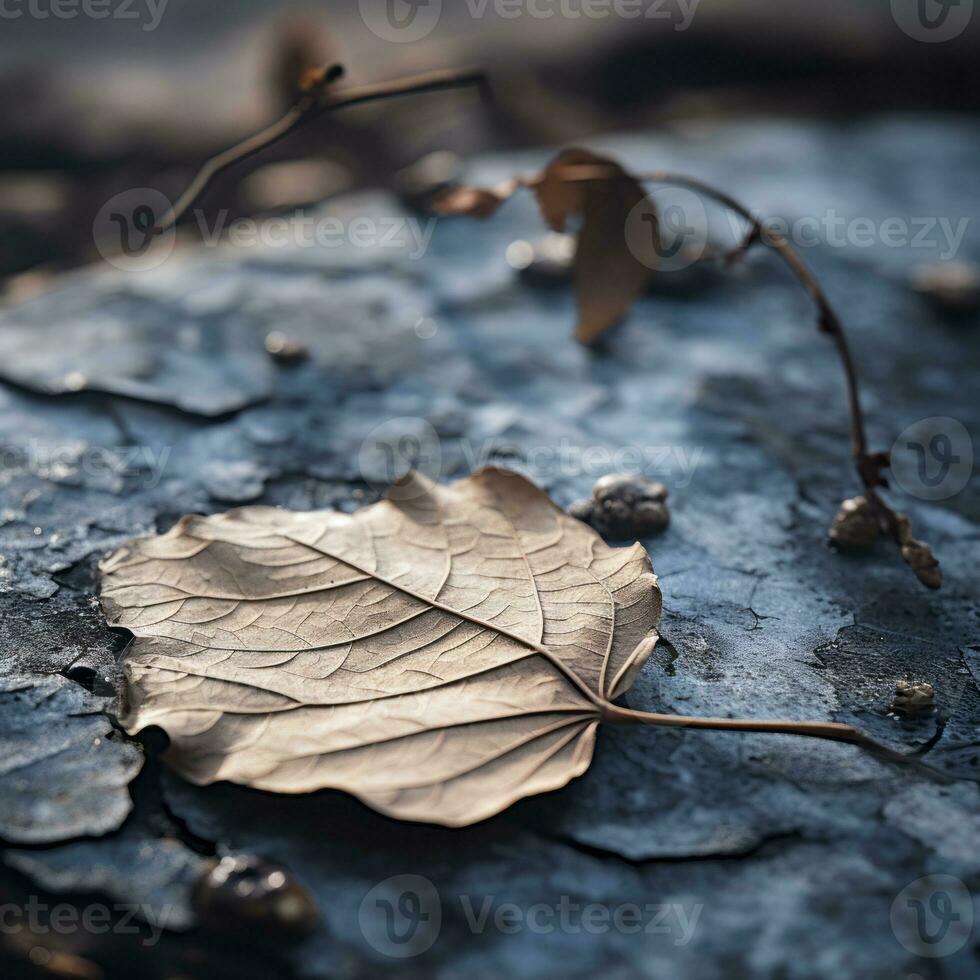 a dead leaf laying on the ground generative ai photo