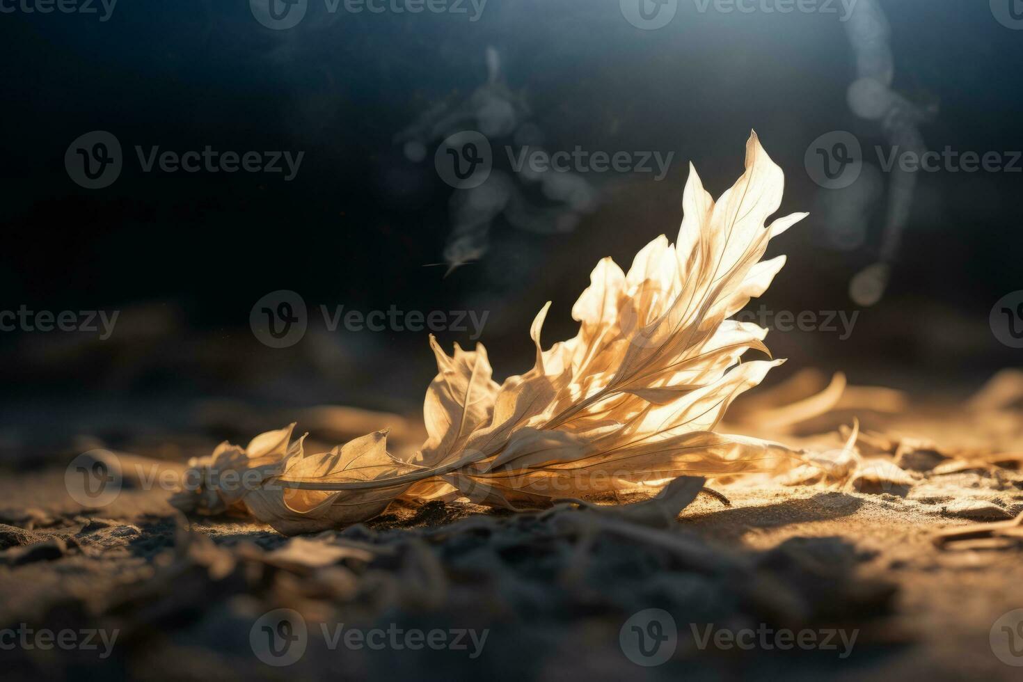 a dead leaf on the ground with a light shining on it generative ai photo