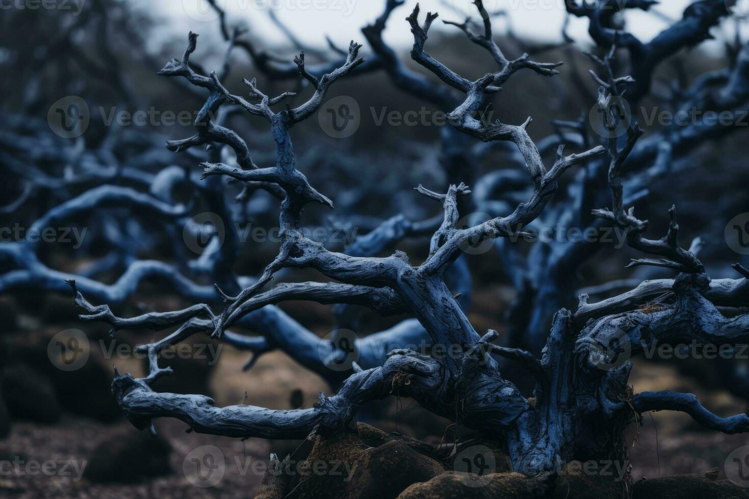 a dead tree in the middle of a field generative ai photo