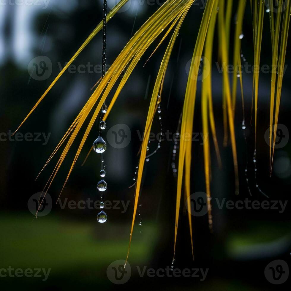 a palm tree with water droplets hanging from it generative ai photo
