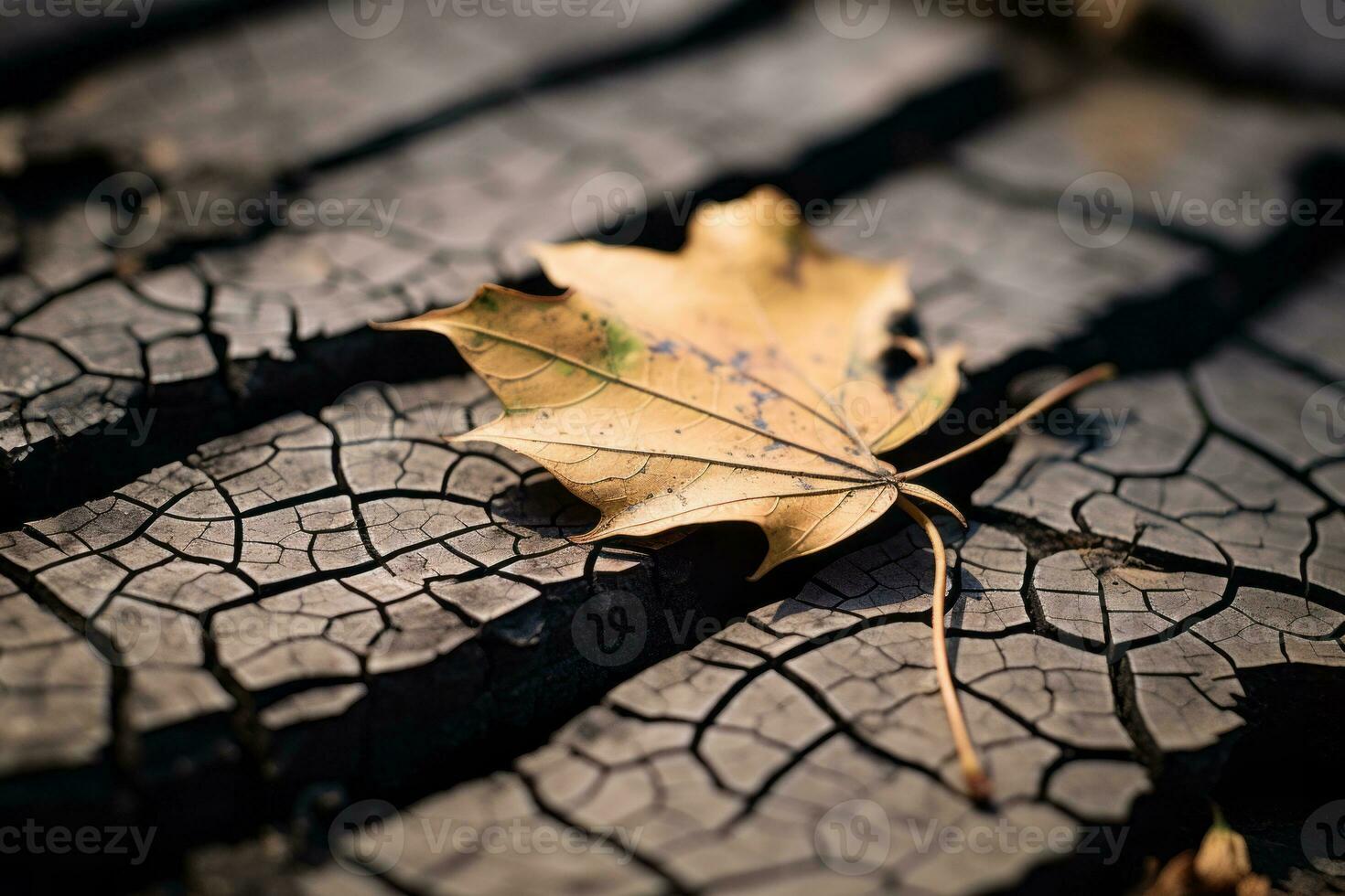 a single leaf lies on the ground in a crack in the ground generative ai photo