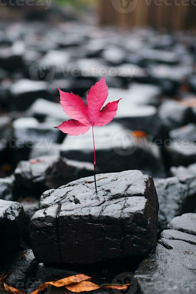 a single red leaf sits on top of some rocks generative ai photo
