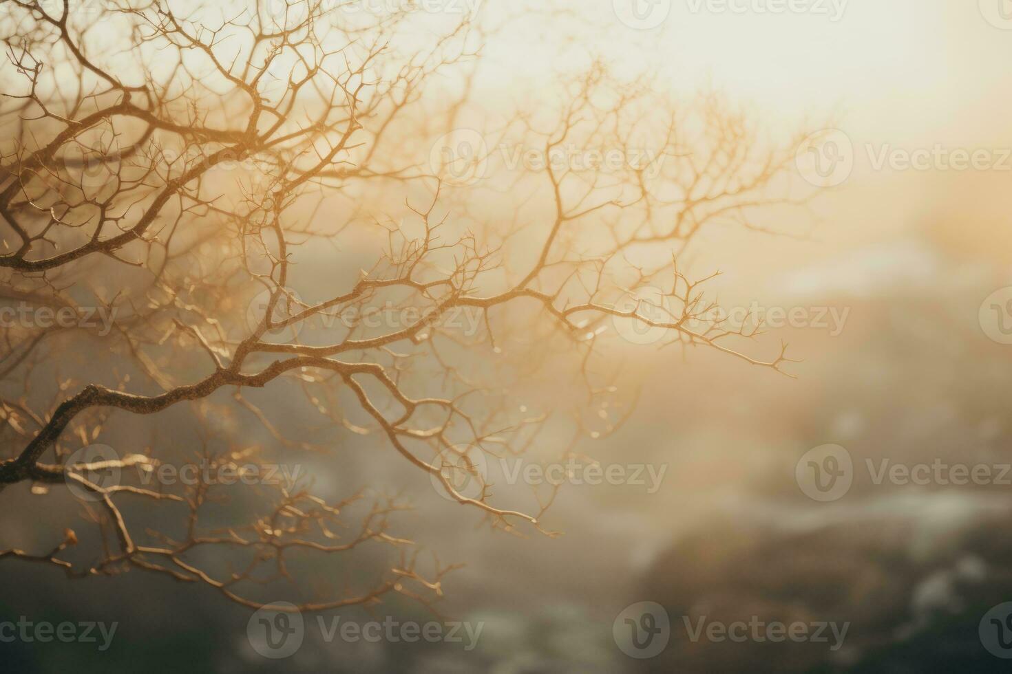 a tree with bare branches in front of the sun generative ai photo