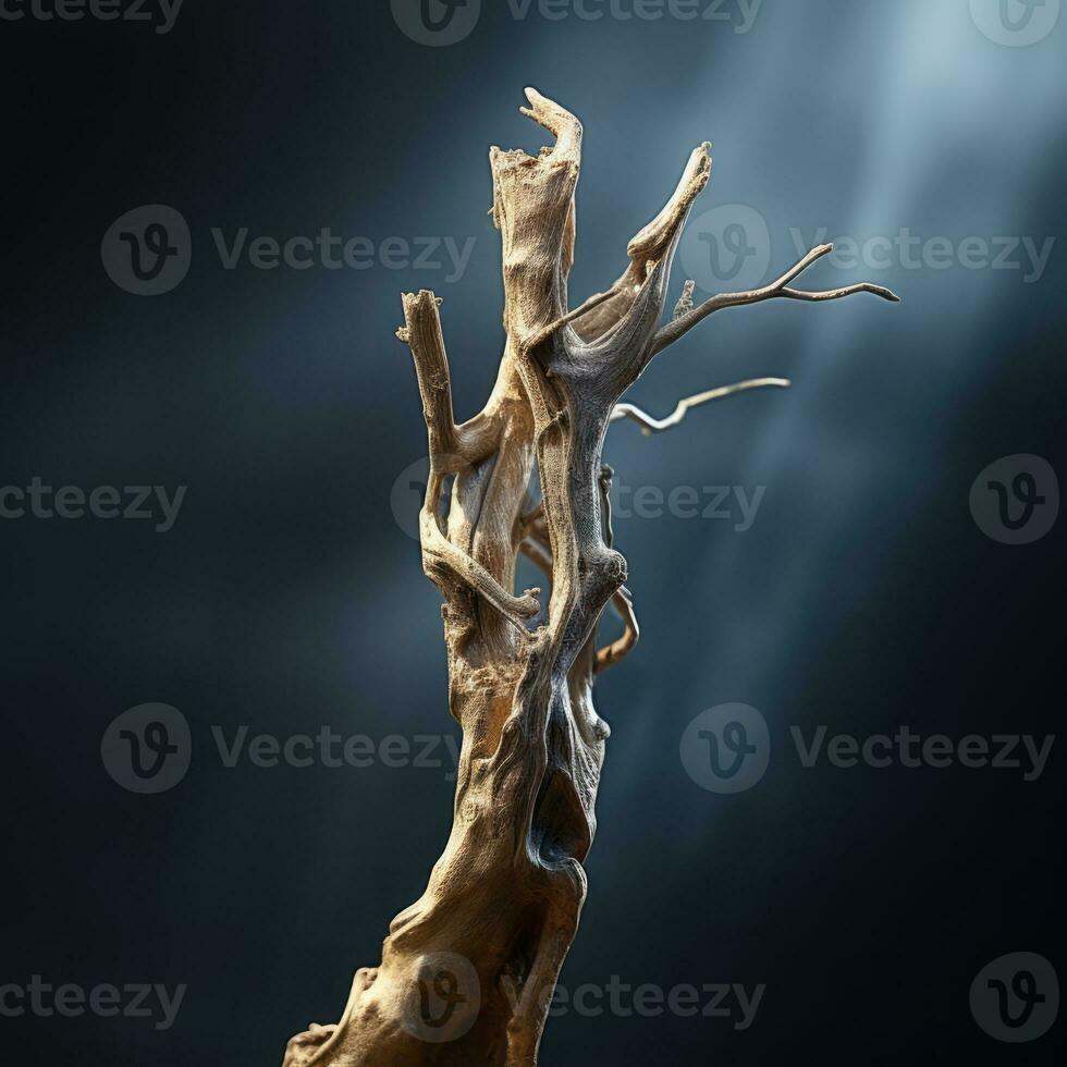 an image of a dead tree branch on a dark background generative ai photo