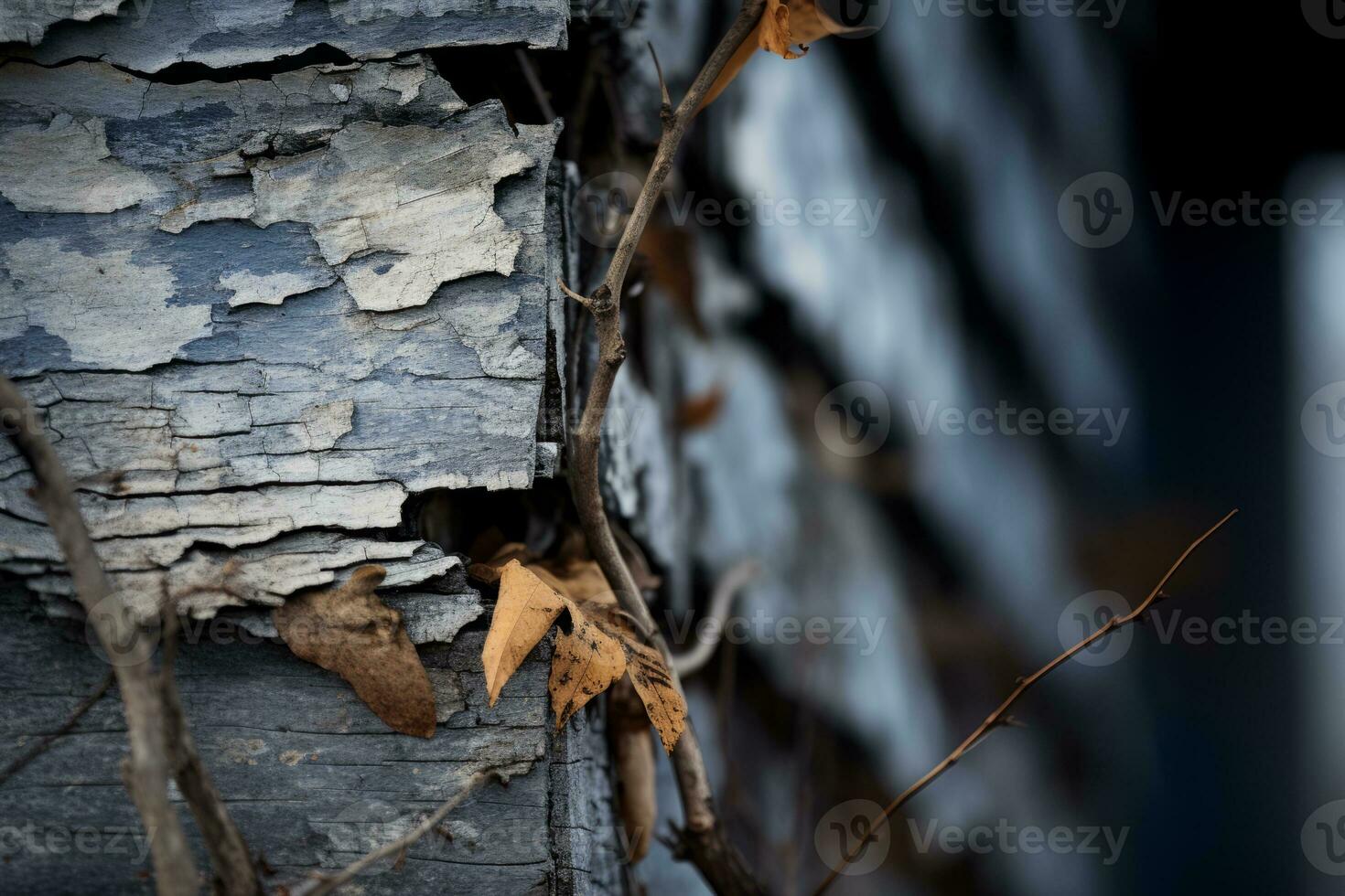 old peeling paint on the side of an old house generative ai photo