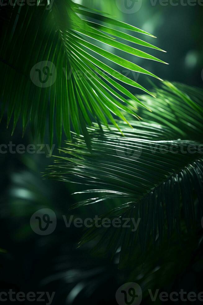 palm leaves in the jungle generative ai photo