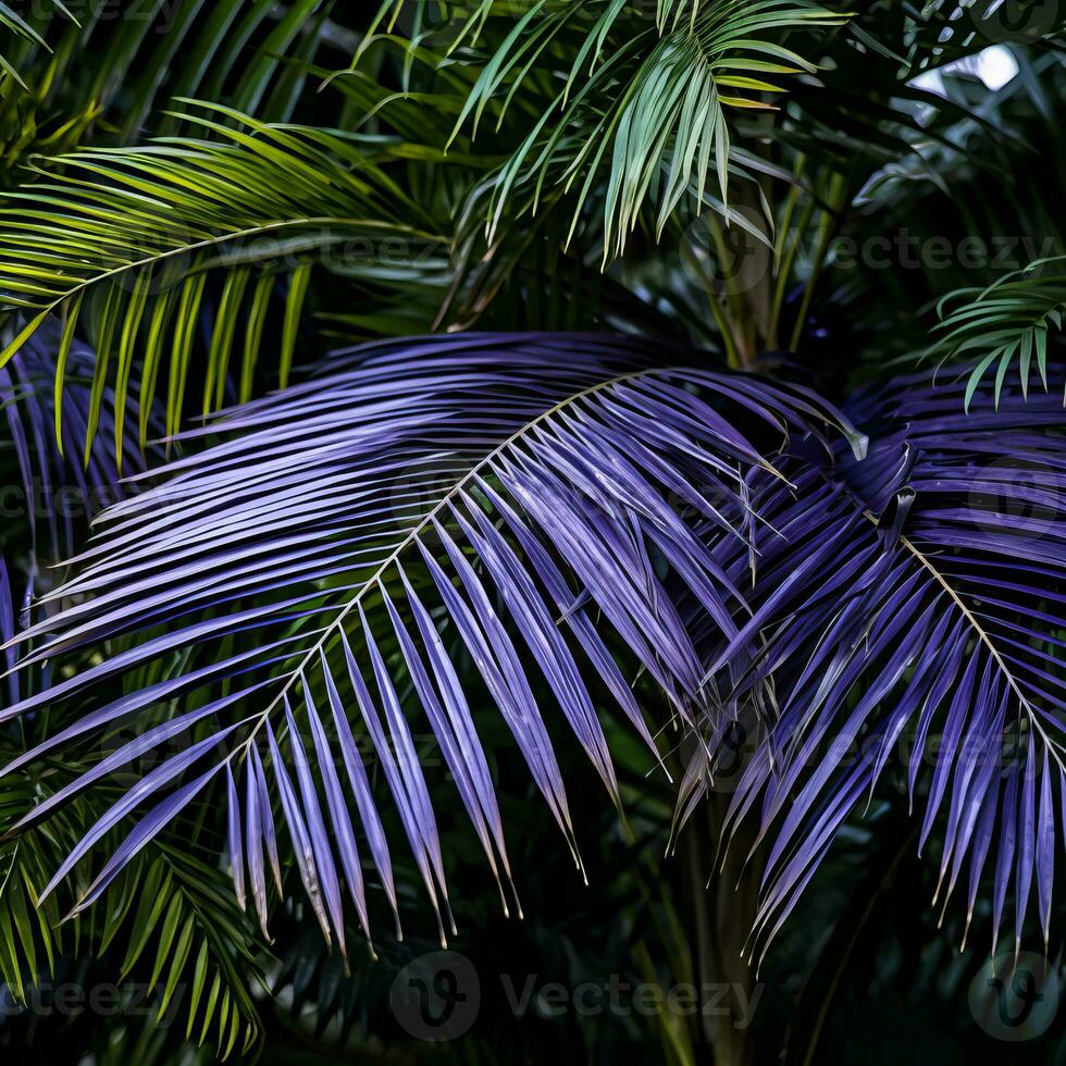 purple leaves of a palm tree generative ai photo