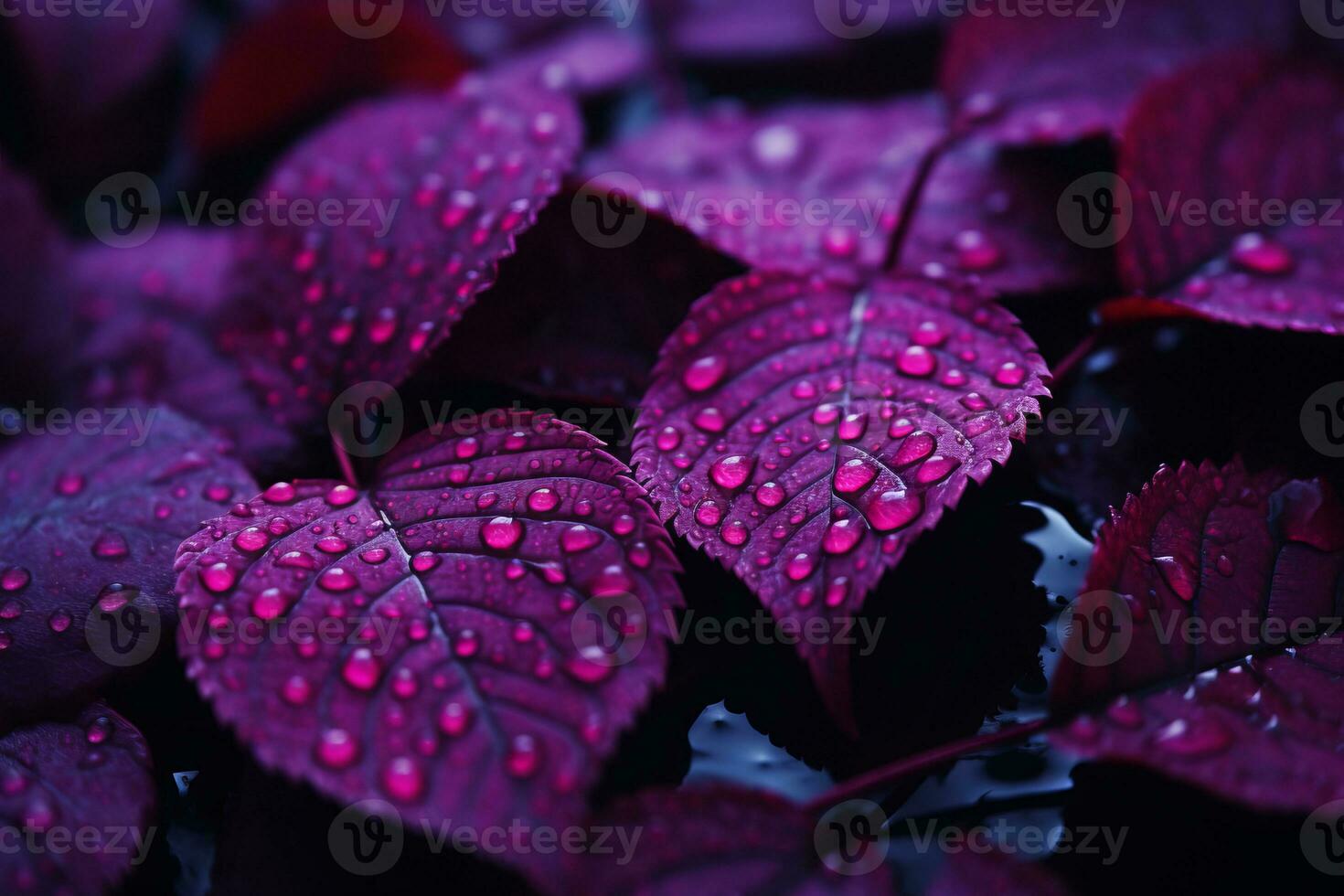 purple leaves with water droplets on them generative ai photo