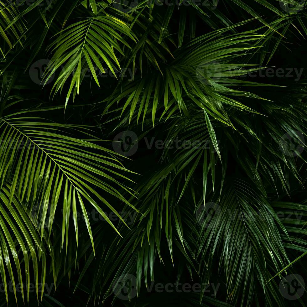 tropical palm leaves on black background generative ai photo
