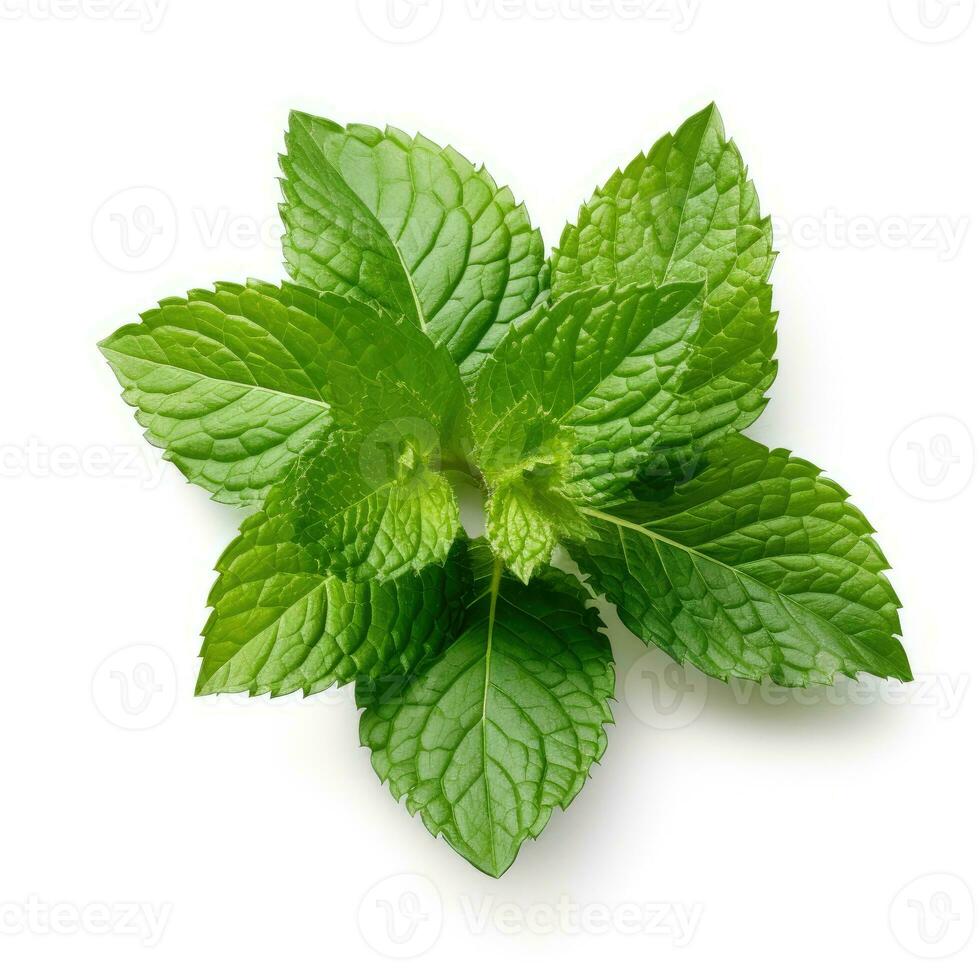 Mint leaf on white background. Fresh raw mint leaves isolated. Full depth of field. AI Generated photo