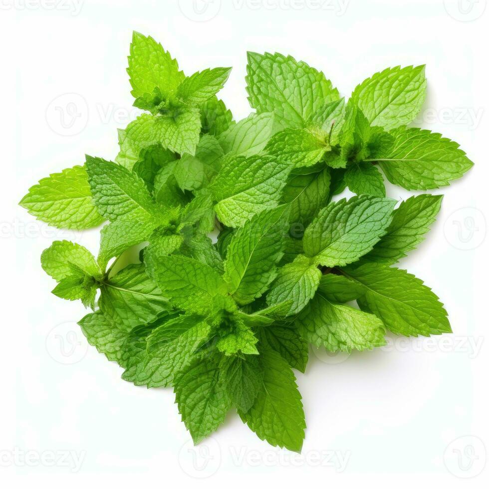 Mint leaf on white background. Fresh raw mint leaves isolated. Full depth of field. AI Generated photo
