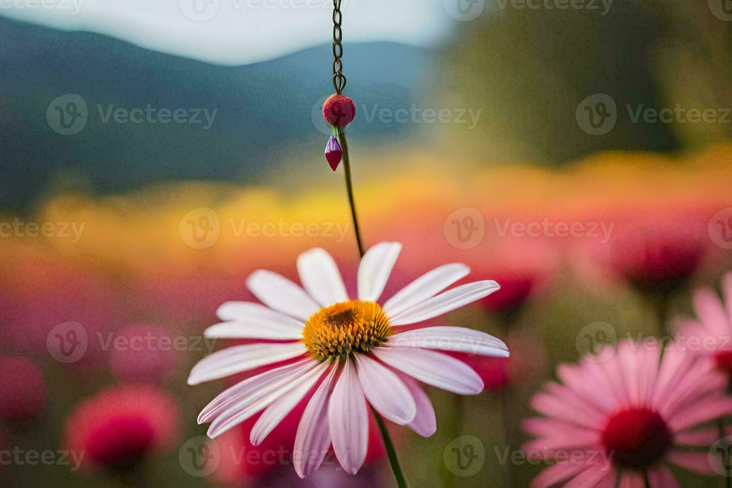 a pink flower is hanging from a chain in a field. AI-Generated photo