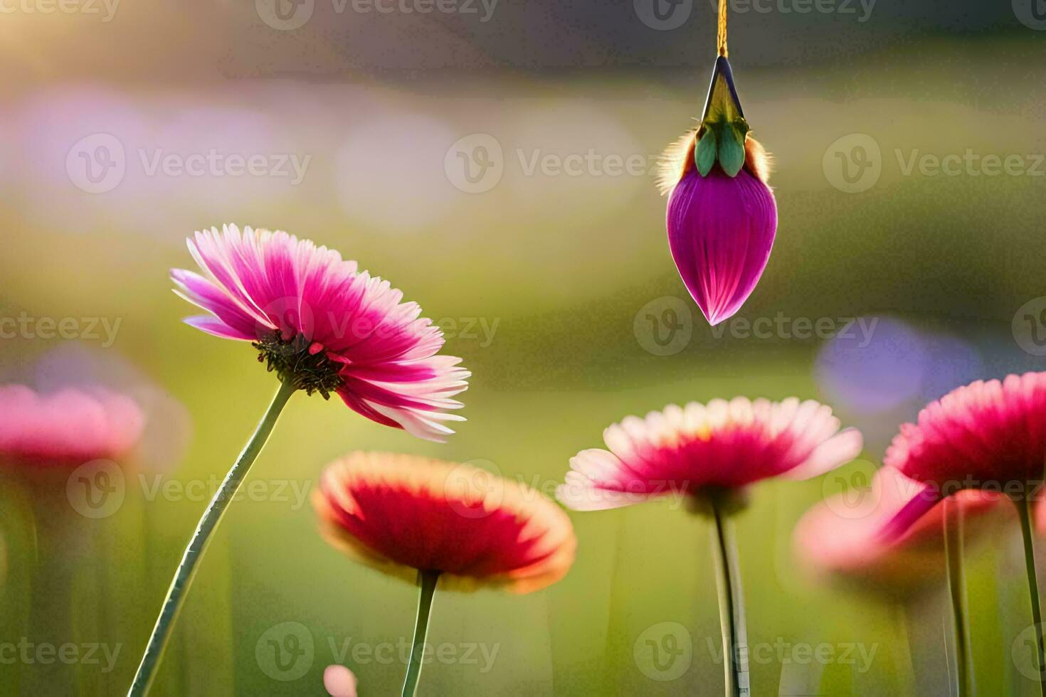 pink flowers in the sun with a hanging flower. AI-Generated photo