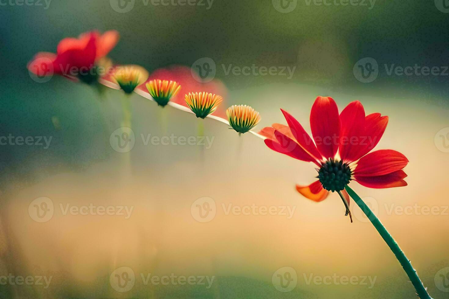 red flowers in the field. AI-Generated photo