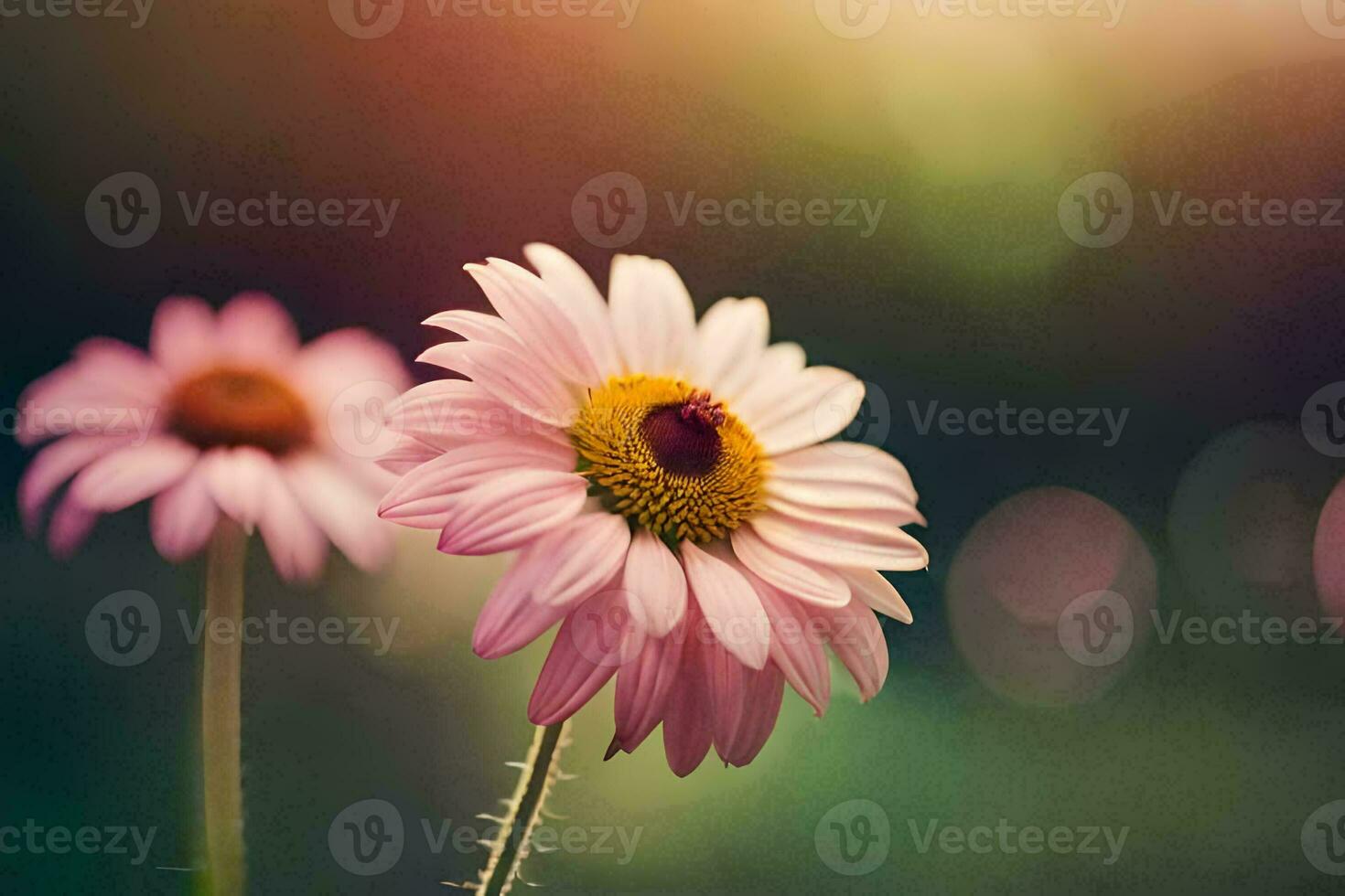 two pink flowers are standing in front of a green background. AI-Generated photo