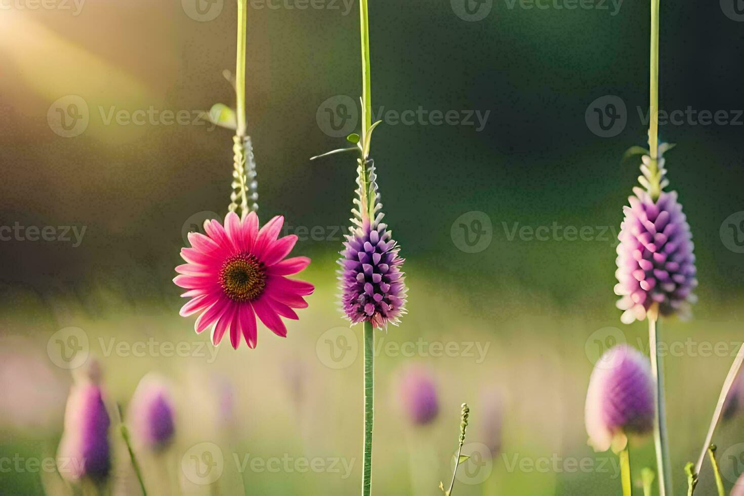 rosado flores colgando desde un cuerda en un campo. generado por ai foto