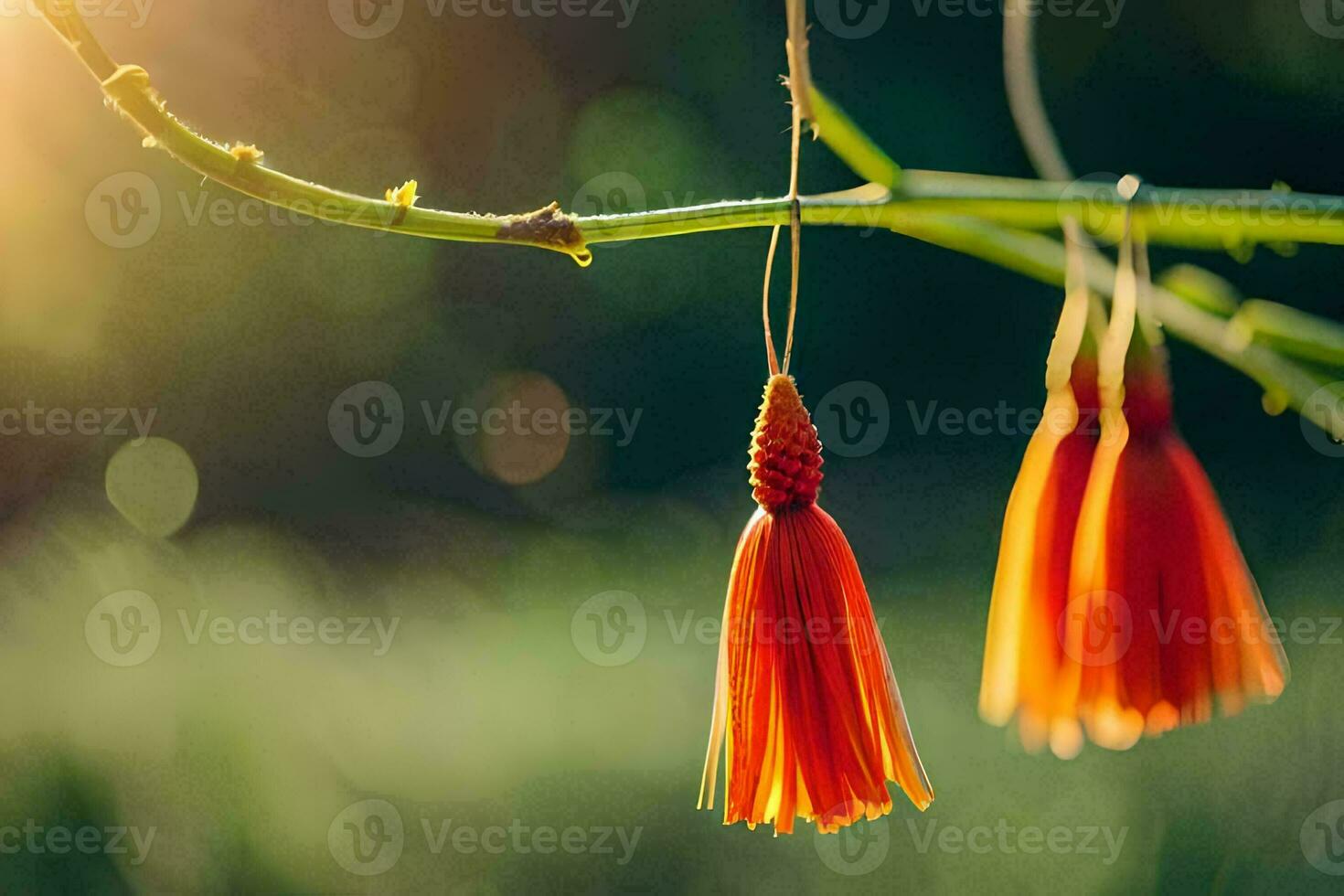 orange flowers hanging from a tree branch. AI-Generated photo