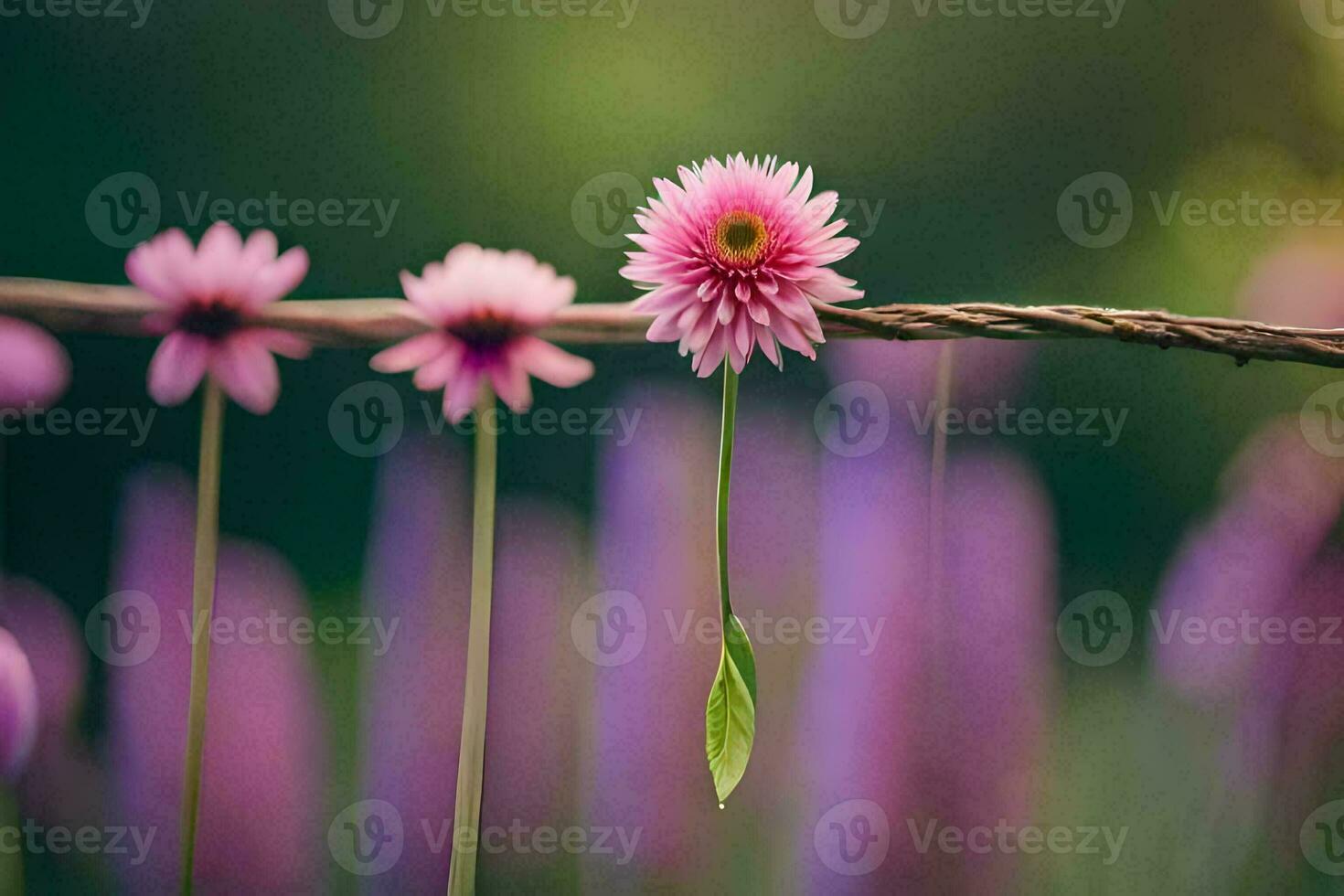 pink flowers on a wire. AI-Generated photo