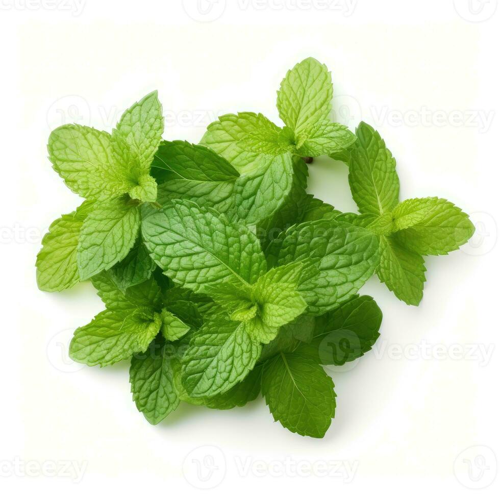 Mint leaf on white background. Fresh raw mint leaves isolated. Full depth of field. AI Generated photo