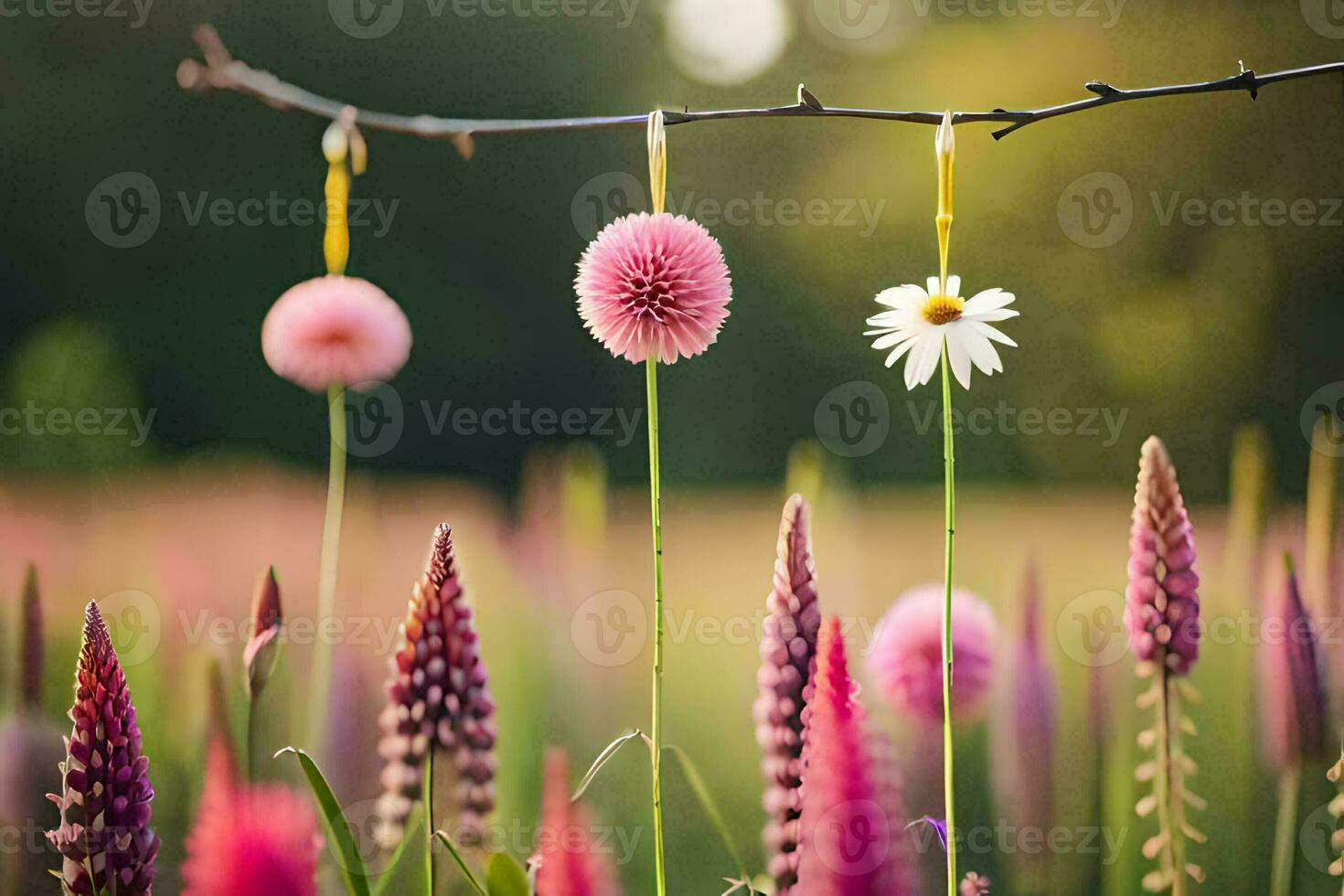 foto fondo de pantalla el cielo, flores, el sol, flores, el campo, el campo, el. generado por ai