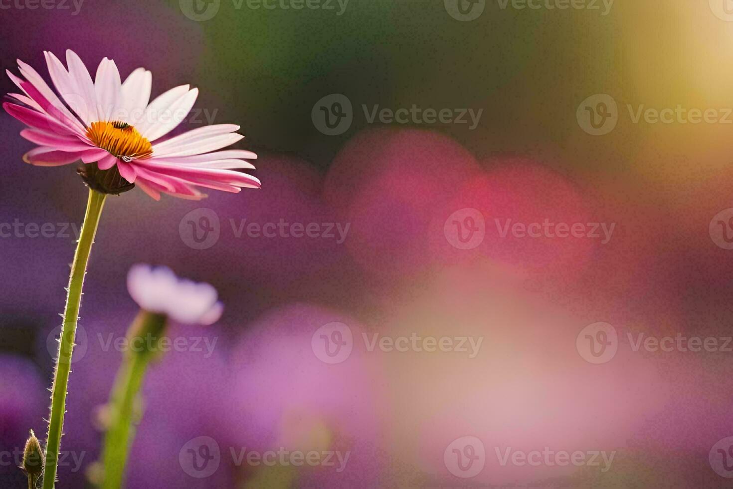 a single pink flower is in the foreground. AI-Generated photo