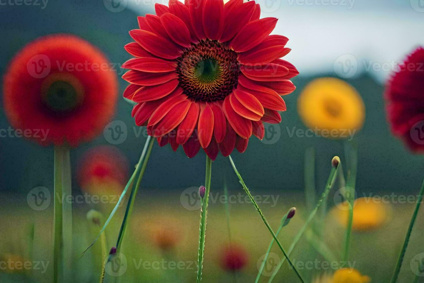 rojo flor en un campo de amarillo y rojo flores generado por ai foto