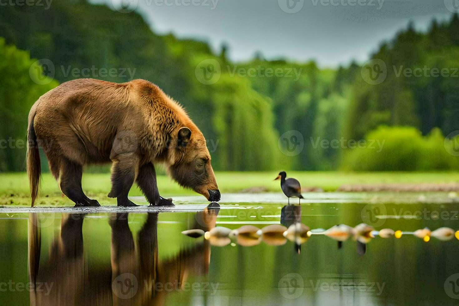 a bear and a bird are standing in the water. AI-Generated photo