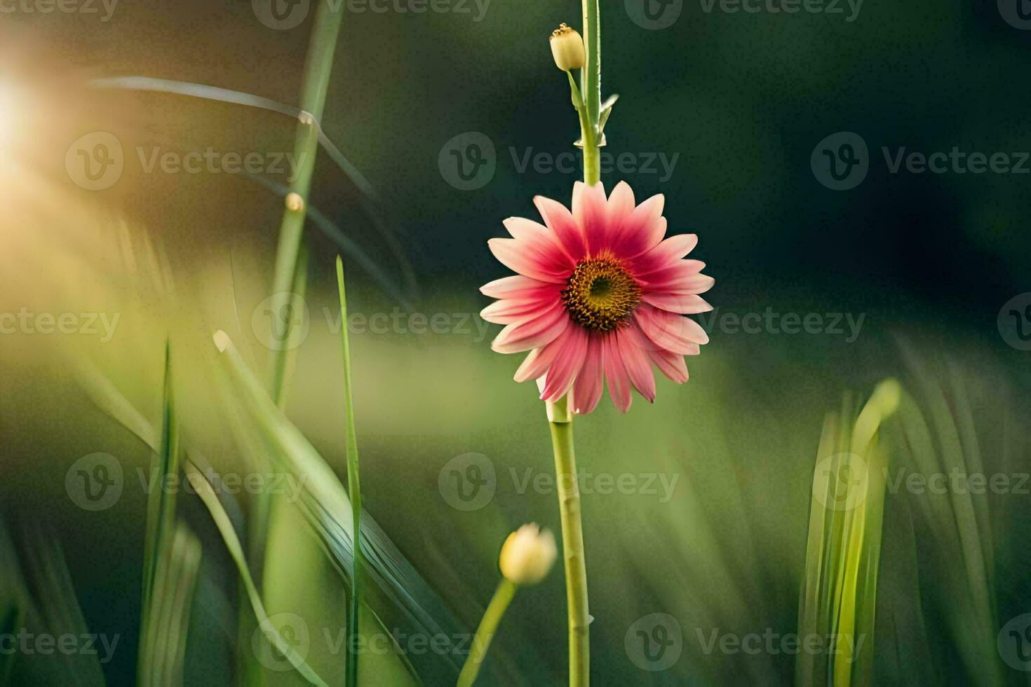 a single pink flower is standing in the grass. AI-Generated photo