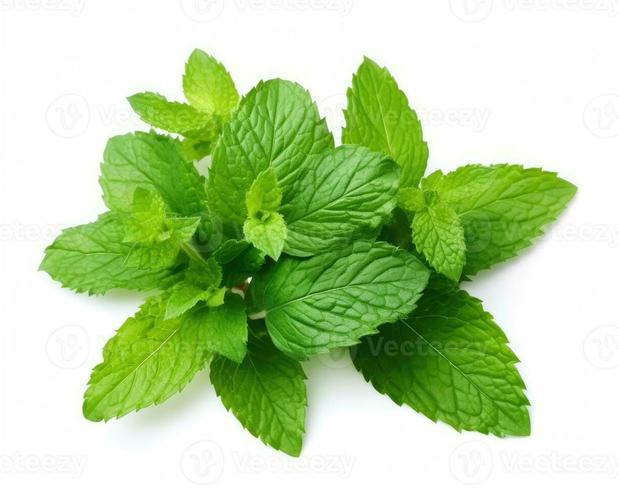 Mint leaf on white background. Fresh raw mint leaves isolated. Full depth of field. AI Generated photo