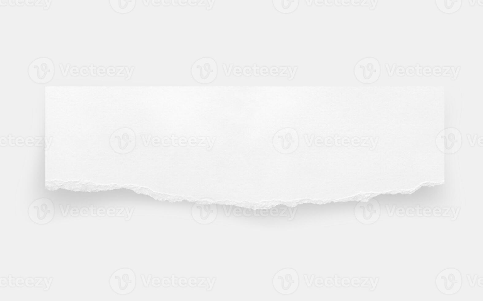 Torn paper edges. Ripped paper texture. Paper tag. White paper sheet for background with clipping path. Close up. photo