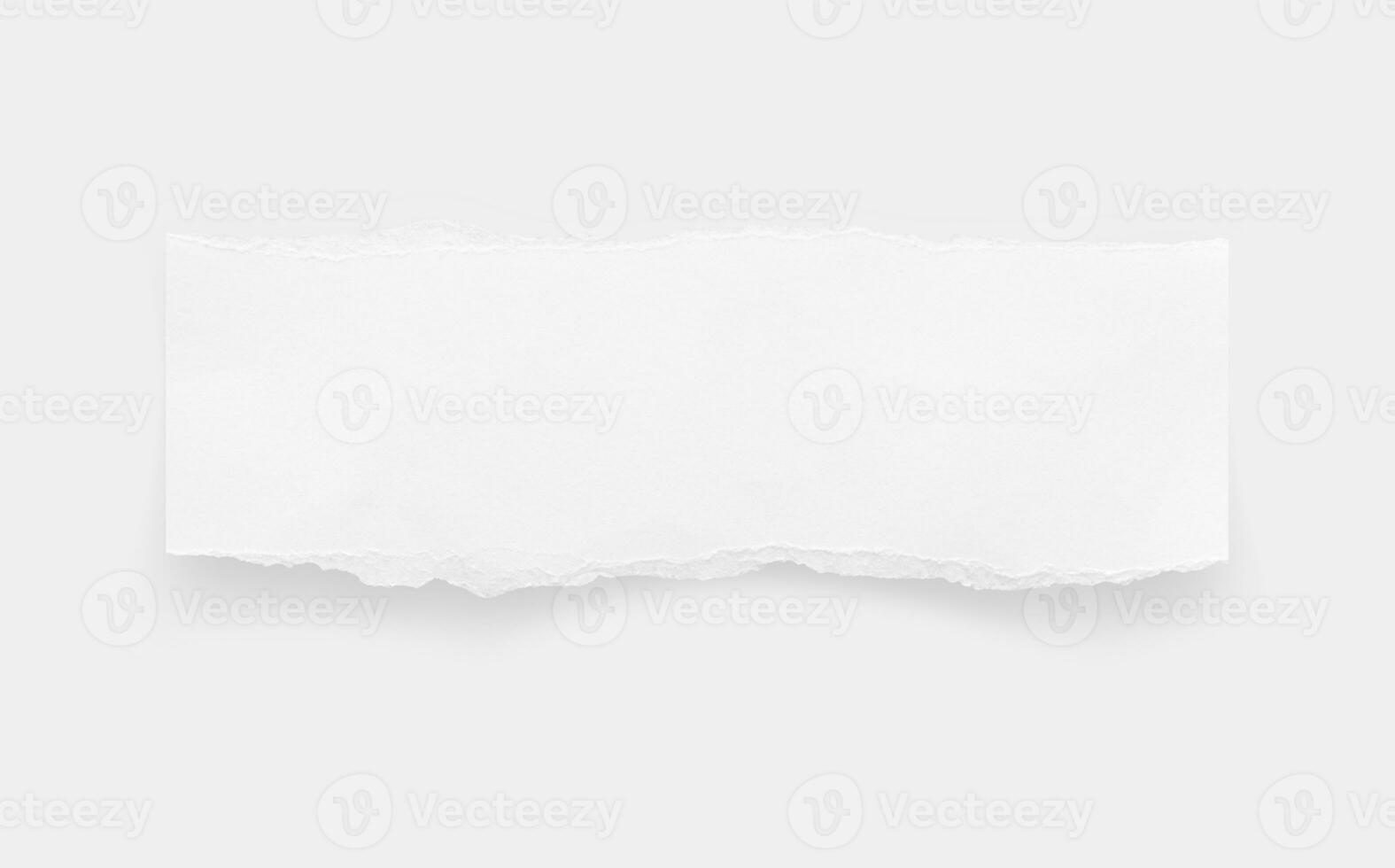 Torn paper edges. Ripped paper texture. Paper tag. White paper sheet for background with clipping path. Close up. photo