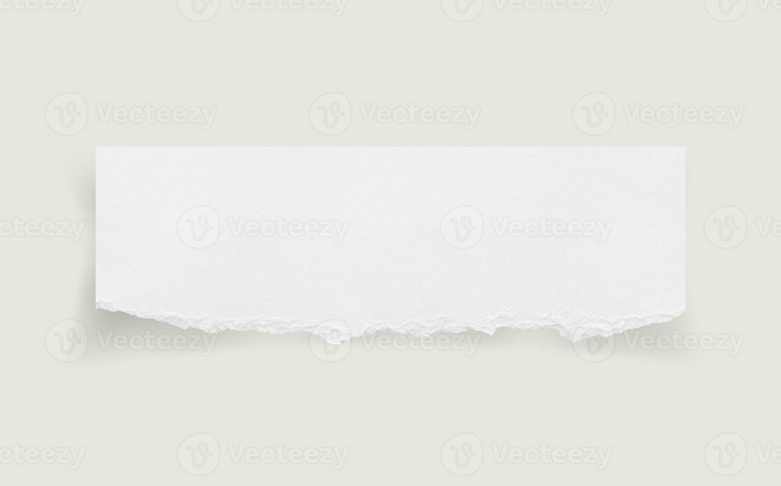 Torn paper edges. Ripped paper texture. Paper tag. White paper sheet for background with clipping path. Close up. photo