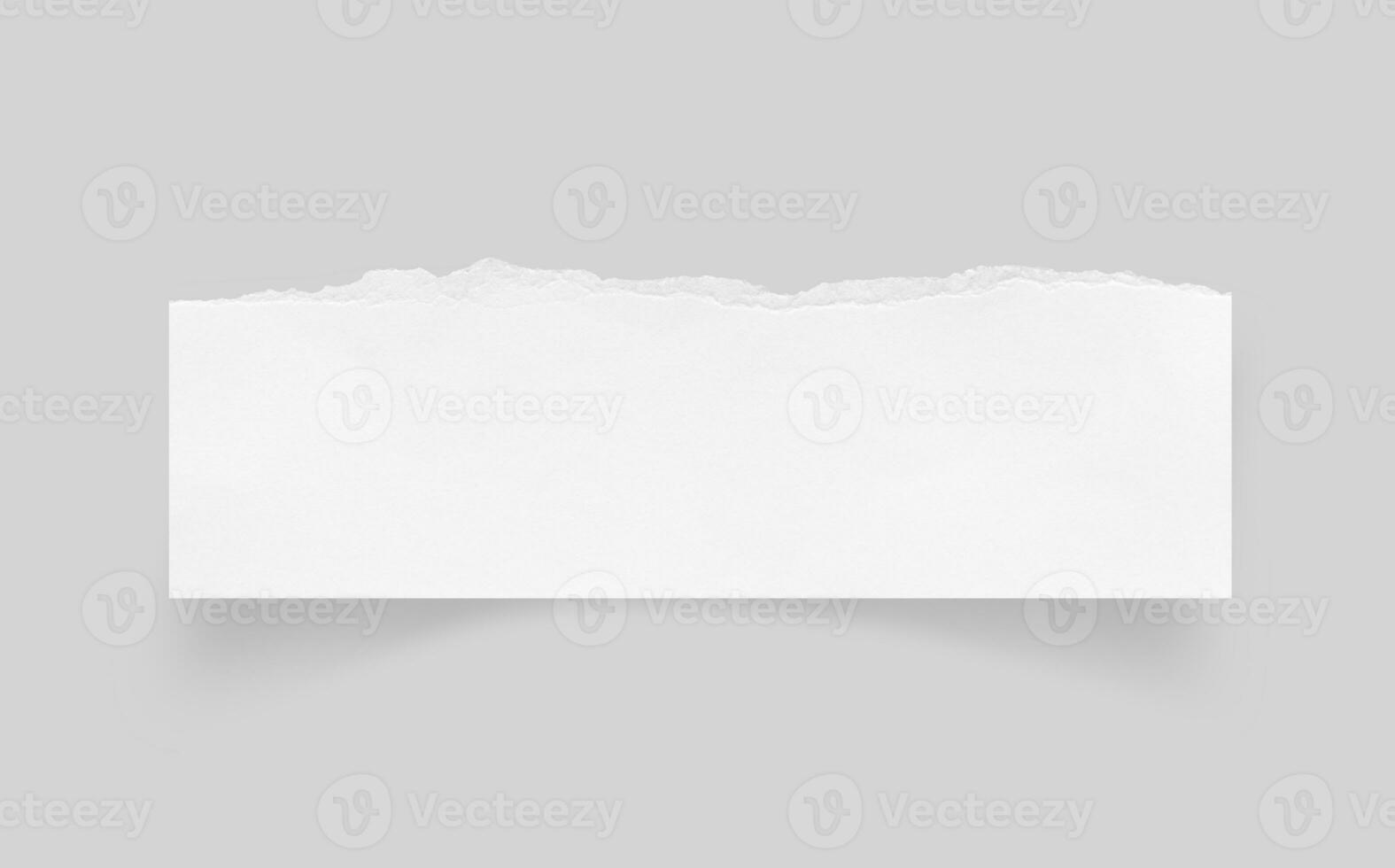 Torn paper edges. Ripped paper texture. Paper tag. White paper sheet for background with clipping path. Close up. photo