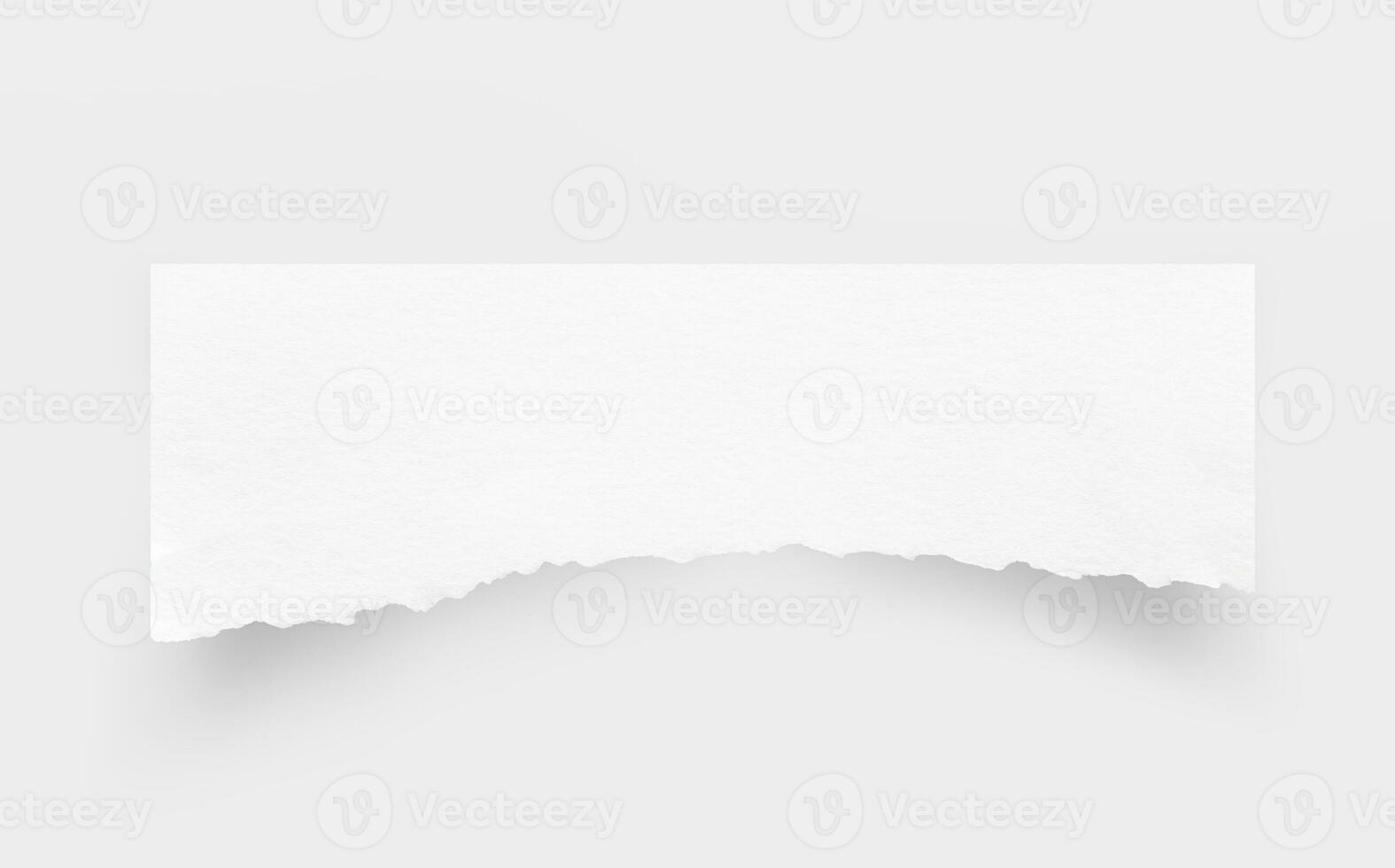 Torn paper edges. Ripped paper texture. Paper tag. White paper sheet for background with clipping path. Close up. photo